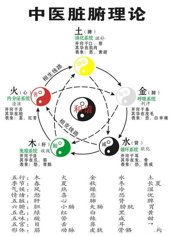 国学精读：《易经》全文译解（一）